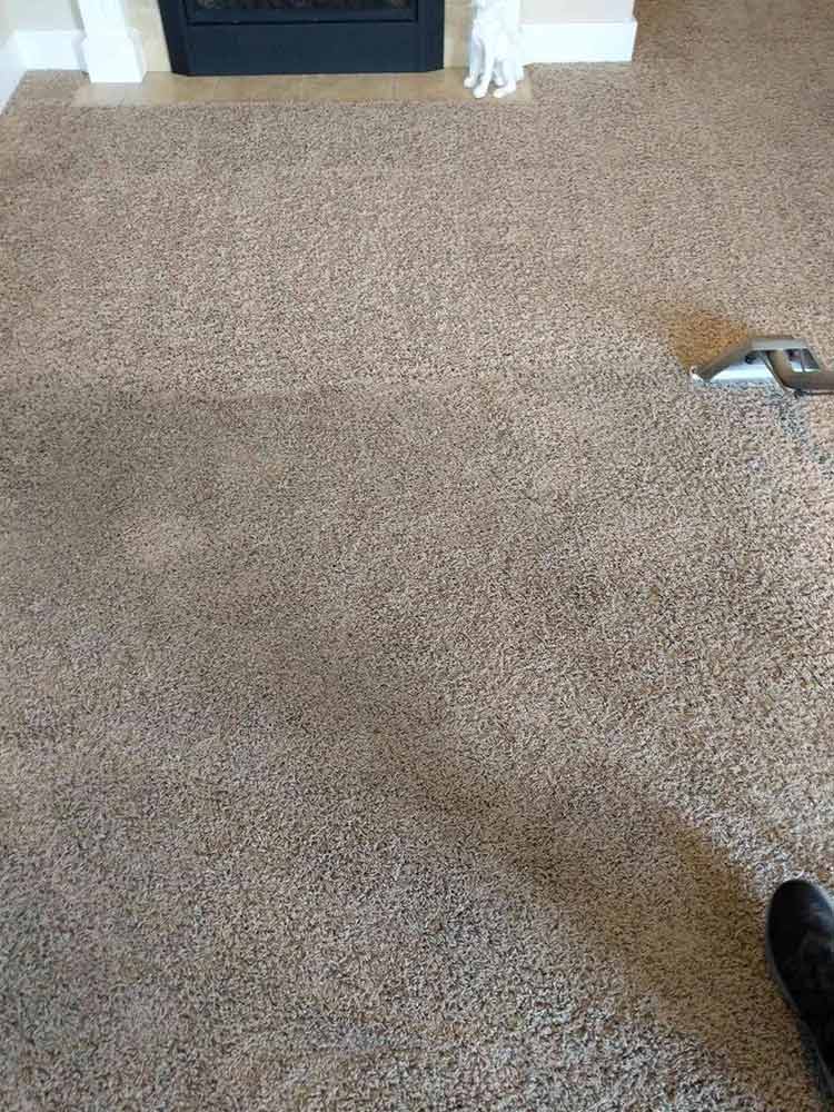 Carpet Cleaning Near Me - Local Irvine Carpet Cleaners